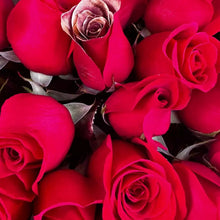Cargar imagen en el visor de la galería, 24 Rosas Buchón ¡Sorprende a tu amada con nuestro elegante y romántico ramo de 24 rosas rojas acompañadas de un bello Buchón en papel especial! Flores Para Regalo, domicilio de rosas en Bogota