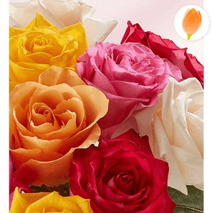 Dos docenas de rosas variadas para el día de la madre, Regalo de Flores para el día de la madre, Arreglo de flores, envía flores por Flores Para Regalo, Flores 24 Horas