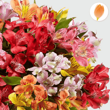 Cargar imagen en el visor de la galería, Rainbow Bouquet y Arreglo de flores, envía flores a Colombia desde USA, Flores para regalo y Flores 24 horas