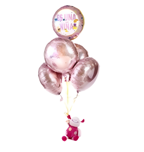 Balloons for Baby Girl Birth