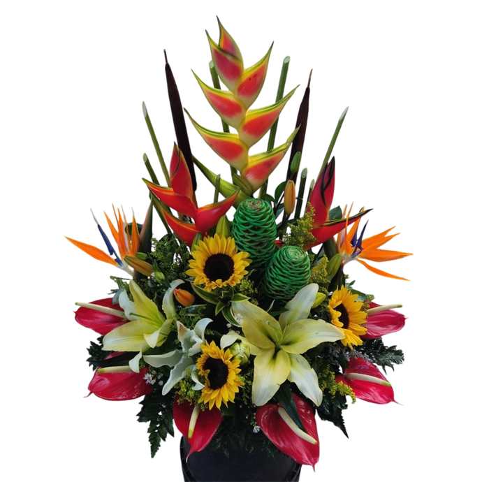 💖 Regalo TE AMO - Flores Exóticas Premium: Aves del Paraíso, Anturios, Girasoles + Oso Peluche + Chocolates | Arreglos Florales a Domicilio Bogotá 💖