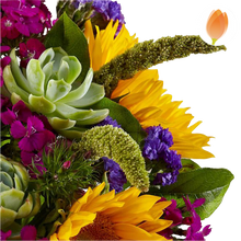 Load image into Gallery viewer, Acercamiento a las suculentas, flores violetas y espigas verdes del arreglo Verano.