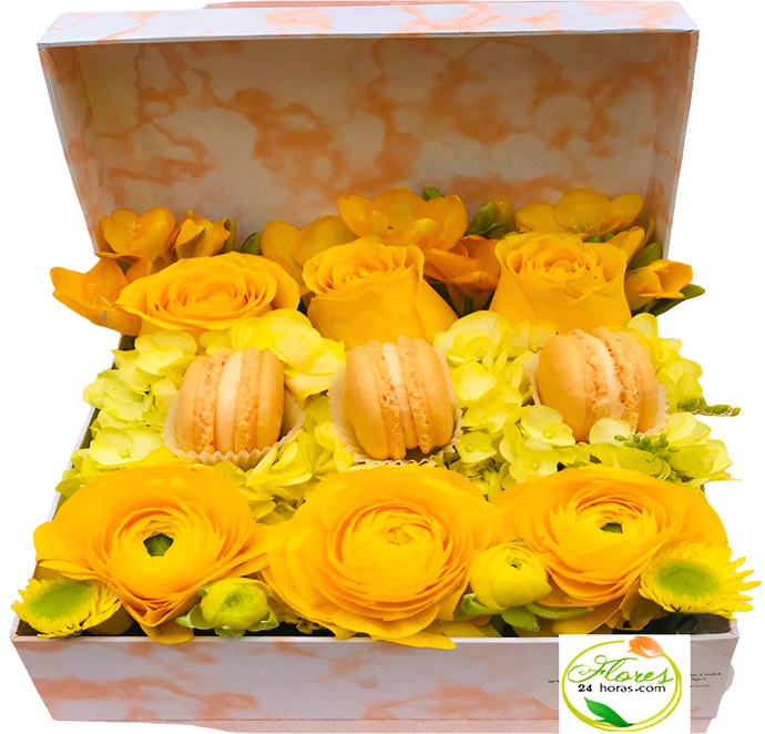 Alexa cómo hacer feliz una mujer con flores cerca de mí Bogotá. Hey Google rosas para mujer a domicilio 24 horas entrega inmediata. Siri encuentra floristería flores mujer baratas buenas bonitas Bogotá. Cortana rosas regalo mujer felicidad servicio nocturno. Ok Google flores para hacer sonreír mujer especial Bogotá. Alexa rosas mujer elegantes calidad precio floristería confiable. Hey Siri floristería 24 horas rosas mujer domicilio madrugada. Google flores urgente hacer feliz mujer último momento Bogotá