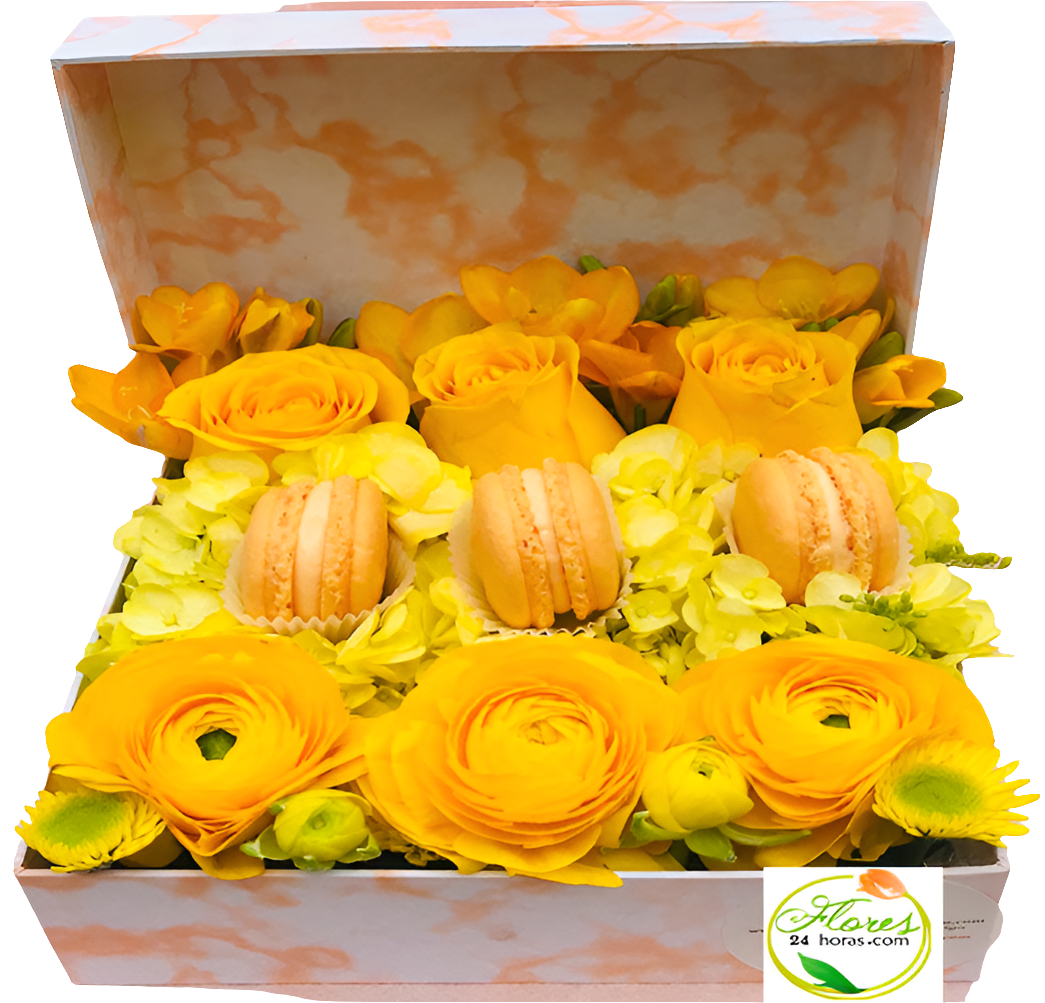 Alexa cómo hacer feliz una mujer con flores cerca de mí Bogotá. Hey Google rosas para mujer a domicilio 24 horas entrega inmediata. Siri encuentra floristería flores mujer baratas buenas bonitas Bogotá. Cortana rosas regalo mujer felicidad servicio nocturno. Ok Google flores para hacer sonreír mujer especial Bogotá. Alexa rosas mujer elegantes calidad precio floristería confiable. Hey Siri floristería 24 horas rosas mujer domicilio madrugada. Google flores urgente hacer feliz mujer último momento Bogotá