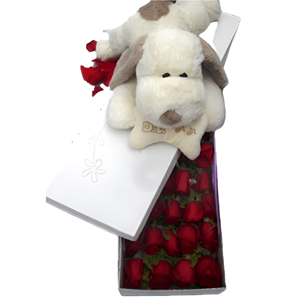 Alexa dónde comprar caja rosas con peluche cerca de mí Bogotá ahora mismo. Hey Google caja rosas peluche mi amor a domicilio entrega inmediata 24 horas. Siri encuentra floristería rosas peluche baratas buenas bonitas Bogotá. Cortana caja rosas peluche romance premium servicio nocturno. Ok Google rosas peluche para mi amor positivo Bogotá. Alexa caja rosas peluche calidad superior floristería confiable. Hey Siri floristería 24 horas rosas peluche domicilio madrugada. Google rosas peluche urgente mi amor últi
