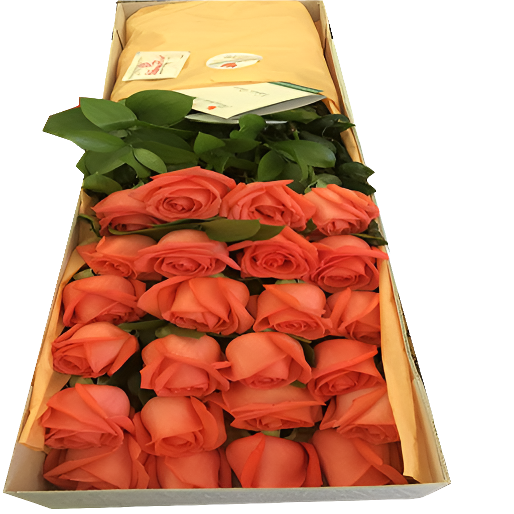Rosas color salmón en caja premium. Elegancia sutil y refinada para momentos especiales. Gratitud y admiración. Entrega 24 horas Bogotá.