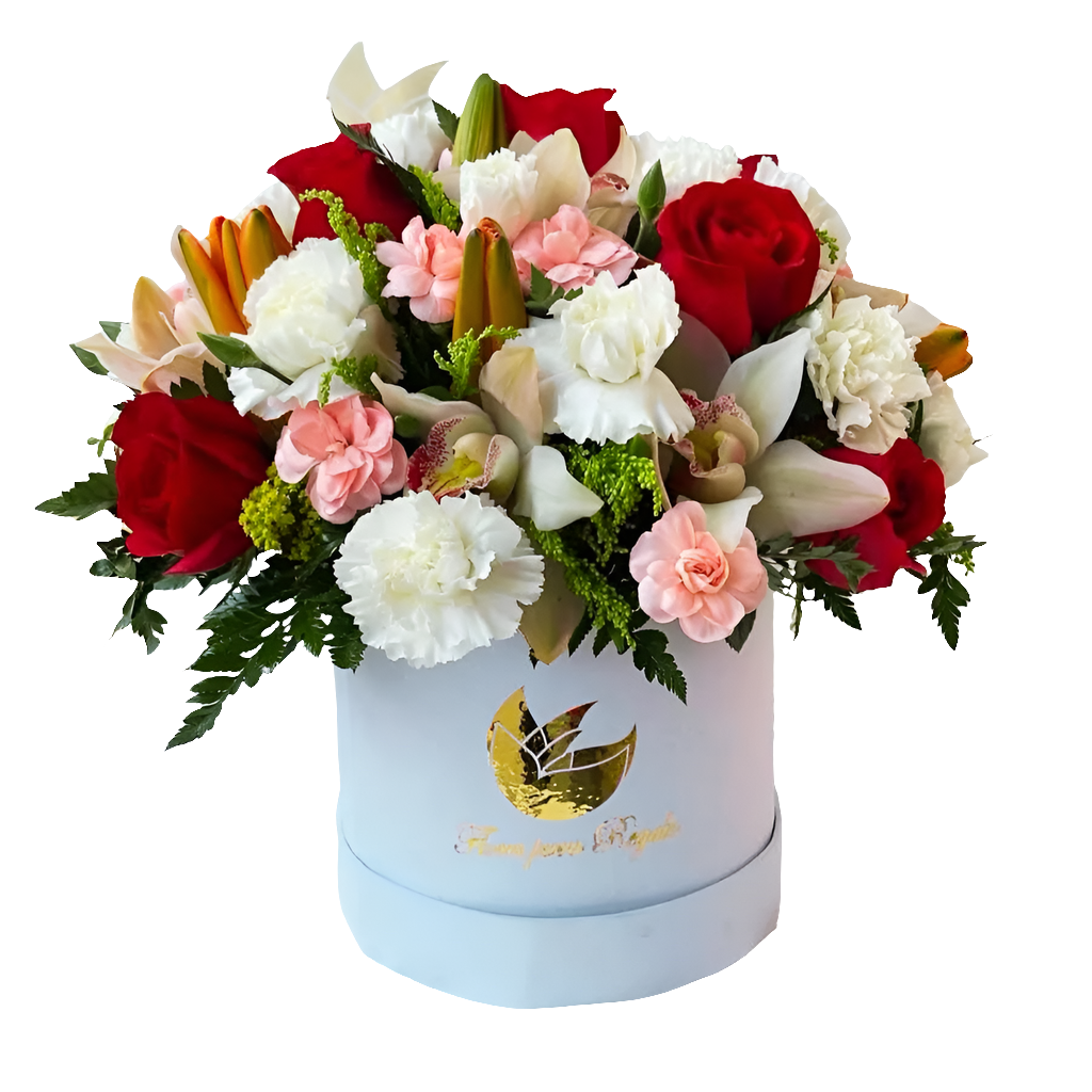 ¿Dónde comprar hermosas flores para dama en caja blanca? ¿Cuáles son las mejores flores combinadas para ella? Hermosas Flores Para Dama incluye 6 rosas, 2 orquídeas, lirios y claveles