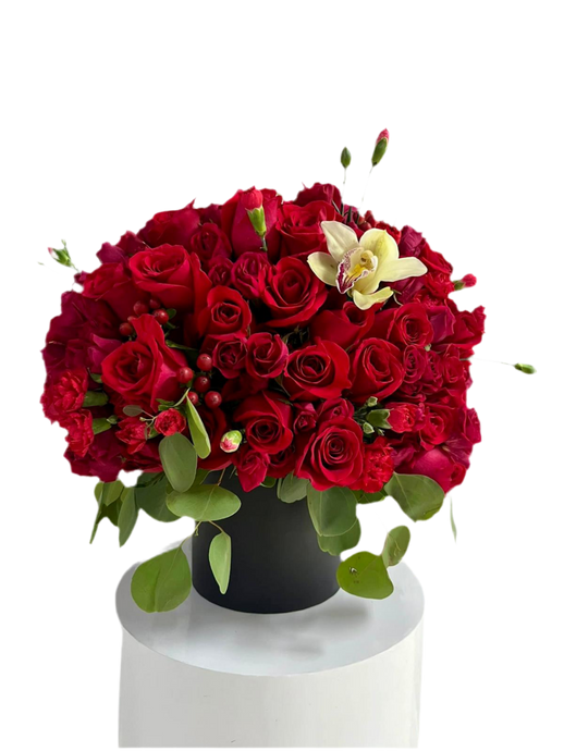 Ingenioso / Ramos de Rosas