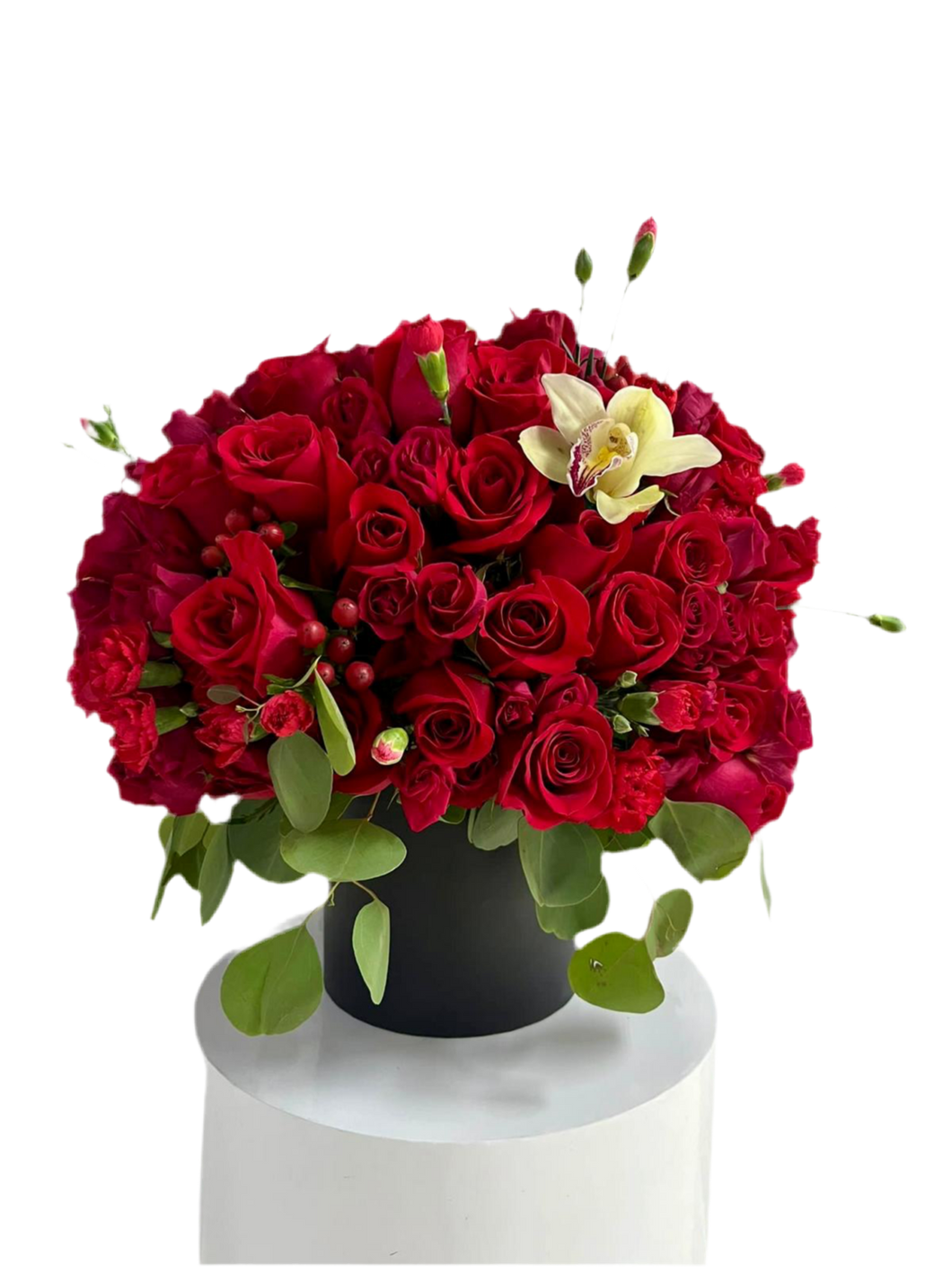 Ingenioso / Ramos de Rosas