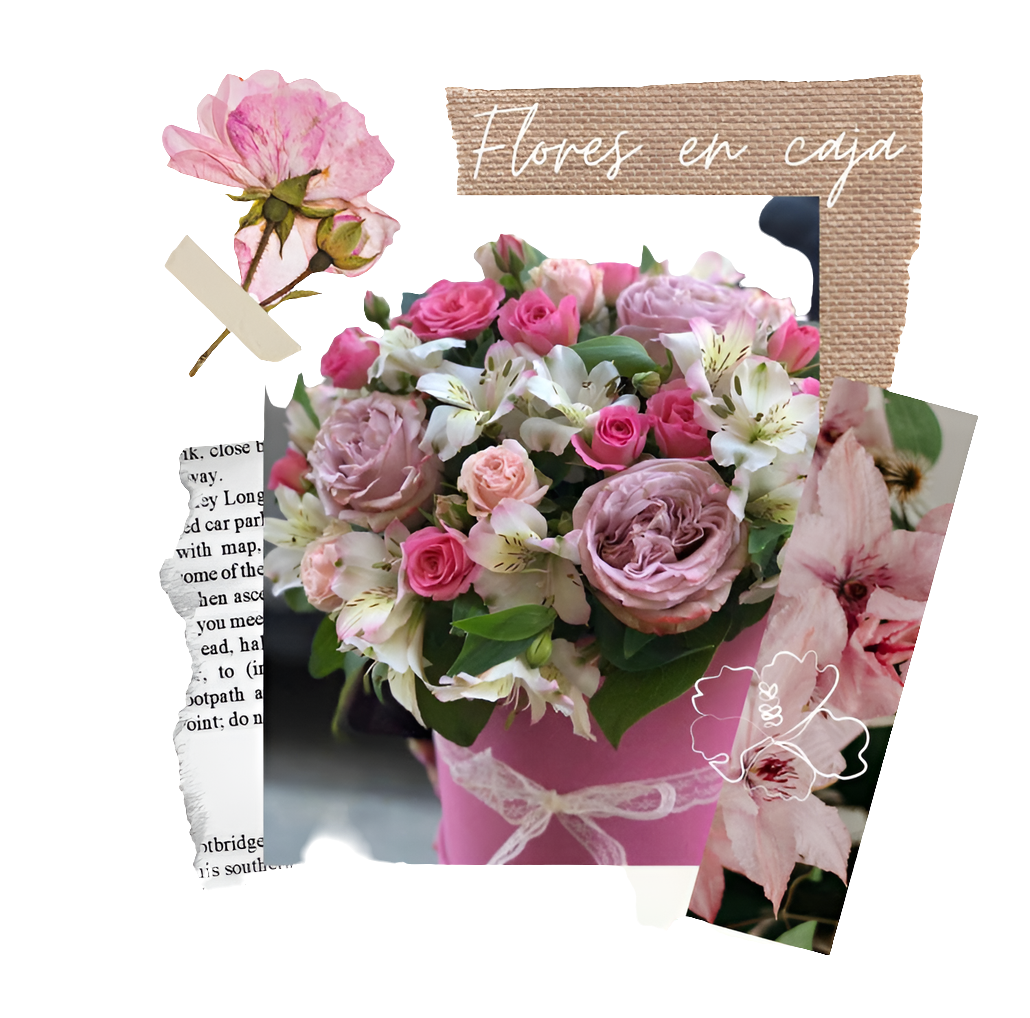 ¿Dónde comprar caja sueños flores perseverantes en Bogotá? ¿Cuáles son las mejores flores para inspirar constancia? Perseverante ofrece flores que simbolizan determinación y fuerza interior