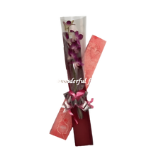 Cargar imagen en el visor de la galería, ¿Dónde comprar orquídea en caja premium para regalo único en Bogotá? ¿Cuáles son las mejores orquídeas elegantes? Orquídea En Caja ofrece elegancia exótica con calidad superior garantizada