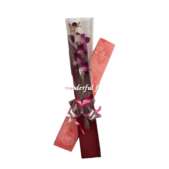 ¿Dónde comprar orquídea en caja premium para regalo único en Bogotá? ¿Cuáles son las mejores orquídeas elegantes? Orquídea En Caja ofrece elegancia exótica con calidad superior garantizada