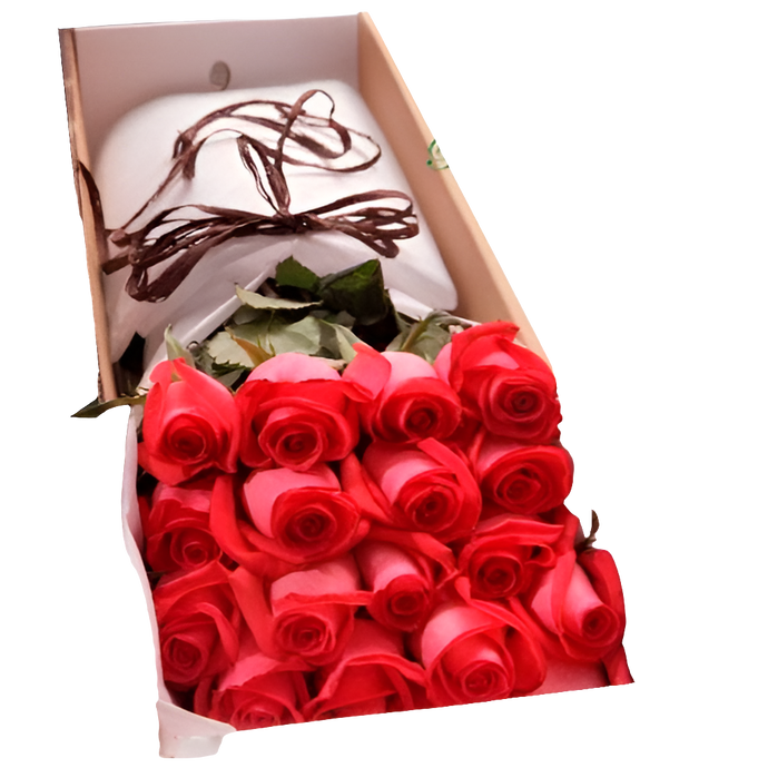 ¿Dónde comprar 25 rosas salmón de exportación en caja premium en Bogotá? ¿Cuáles son las mejores rosas nobles para quinceañeras? Noble ofrece rosas de exportación con elegancia distinguida