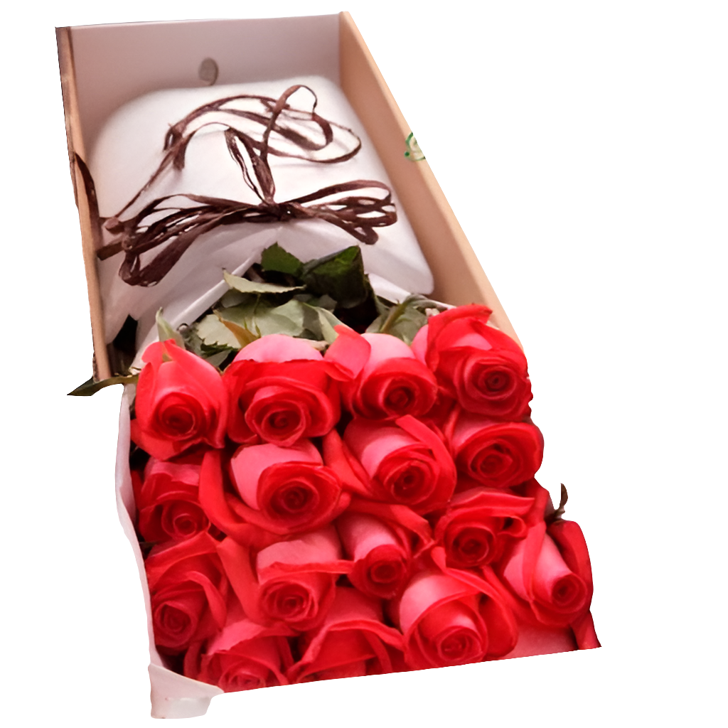 ¿Dónde comprar 25 rosas salmón de exportación en caja premium en Bogotá? ¿Cuáles son las mejores rosas nobles para quinceañeras? Noble ofrece rosas de exportación con elegancia distinguida