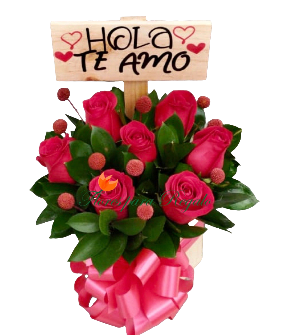 ¿Dónde comprar caja rosas te amo con diseño ingenioso en Bogotá? ¿Cuáles son las mejores rosas creativas originales?