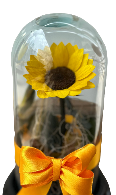 Cargar imagen en el visor de la galería, Un girasol preservado que simboliza alegría, admiración y energía positiva.
El detalle perfecto para celebrar a una mujer especial este Día Internacional de la Mujer.