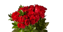 Cargar imagen en el visor de la galería, Bouquet Paciente - Ramo 24 Rosas Rojas Amor Romántico Bogotá