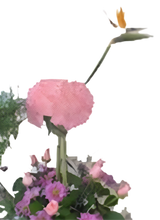 Cargar imagen en el visor de la galería, Flores Nacimiento Llegó Cigüeña 24H Bogotá | Baby Shower Niño Entrega Inmediata