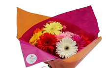 Load image into Gallery viewer, you brighten my days