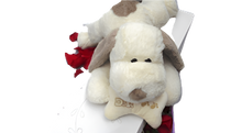 Cargar imagen en el visor de la galería, Positiva - Caja Rosas con Peluche Premium | Romance Mi Amor Bogotá