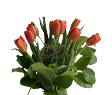 Load image into Gallery viewer, tulips