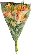 Load image into Gallery viewer, Alstroemerias
