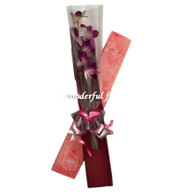Cargar imagen en el visor de la galería, ¿Dónde comprar orquídea en caja premium para regalo único en Bogotá? ¿Cuáles son las mejores orquídeas elegantes? Orquídea En Caja ofrece elegancia exótica con calidad superior garantizada