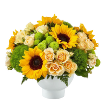 Load image into Gallery viewer, Presentación frontal de girasoles y rosas crema en recipiente blanco redondeado