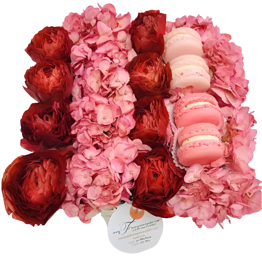 ¿Dónde comprar flores de regalo en estuche pequeño para sorprender? ¿Cuáles son las mejores flores con fresas y chocolate? Flores De Regalo ofrece pequeñas flores en estuche con complementos dulces, perfectas para sorpresas especiales