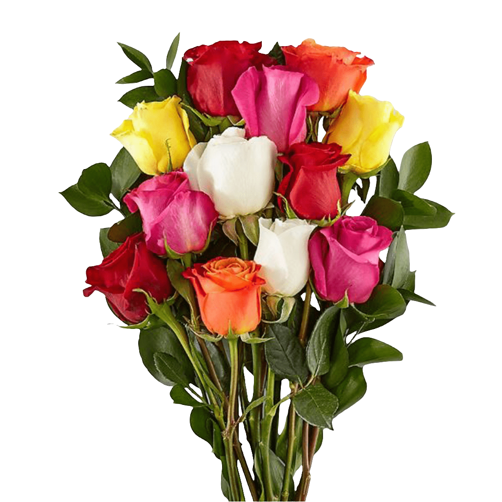 Mixed Roses (Bouquet or Vase)
