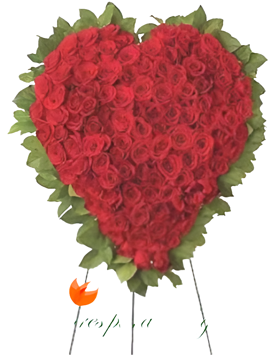 Corazón de Amor Eterno