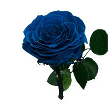 Cargar imagen en el visor de la galería, Rosa Preservada Infinito Amor 24H Bogotá | Flores Eternas Entrega Inmediata