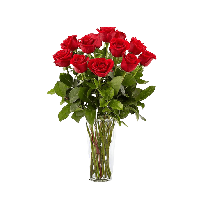 Generosa / Rosas rojas