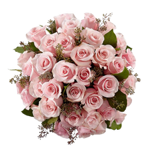 Cargar imagen en el visor de la galería, Ramo Rosas Rosadas Tallo Largo 24H Bogotá | Premium Entrega Inmediata