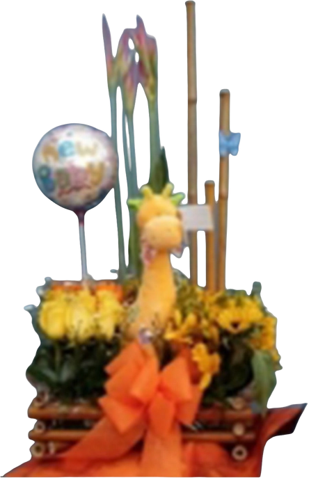 Flores Nacimiento Llegó Alegría Bebé 24H Bogotá | Baby Shower Entrega Inmediata