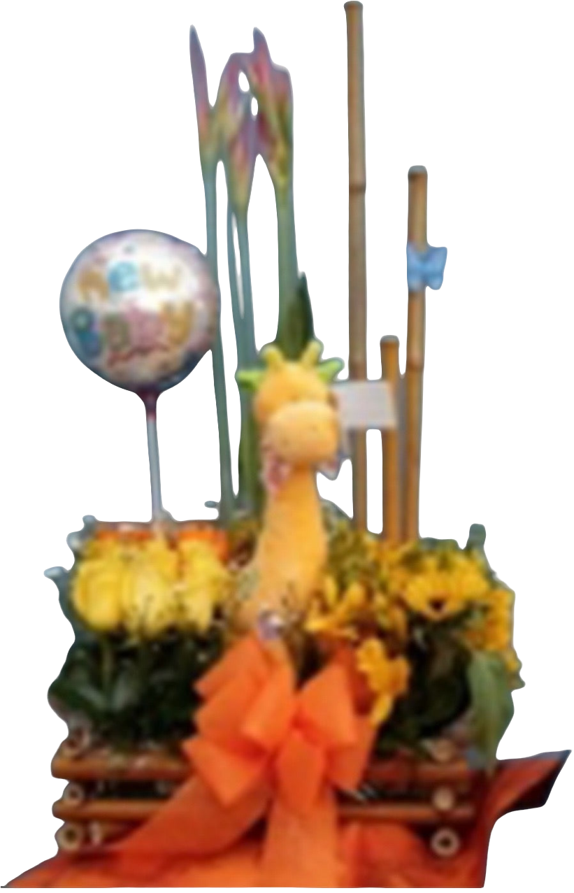 Flores Nacimiento Llegó Alegría Bebé 24H Bogotá | Baby Shower Entrega Inmediata