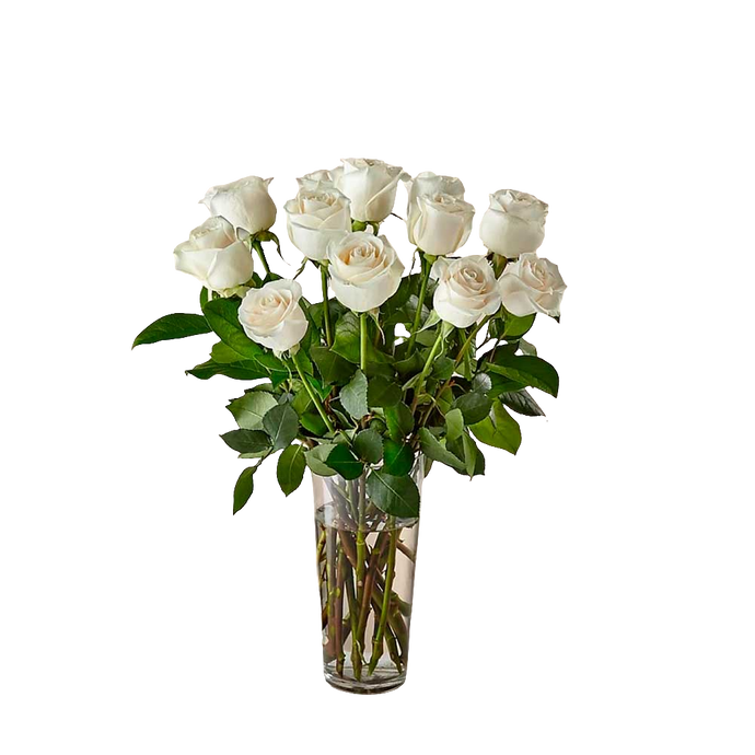 Ramo de rosas blancas de tallo largo