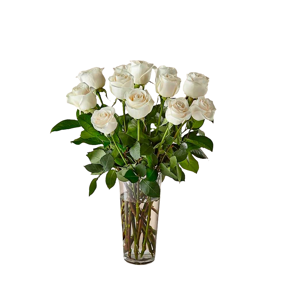 Ramo de rosas blancas de tallo largo