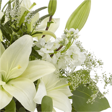 Load image into Gallery viewer, Elegant