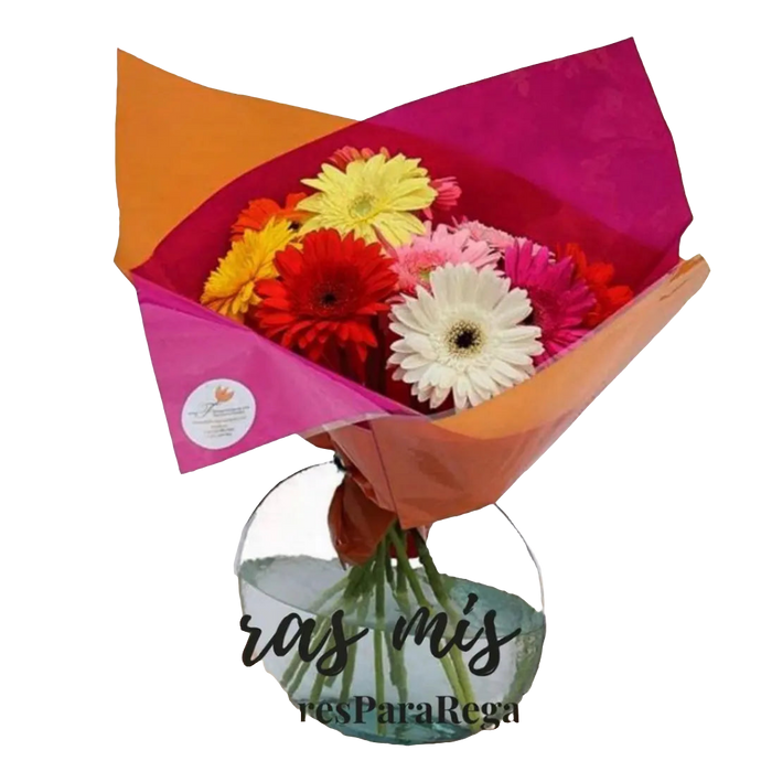 you brighten my days