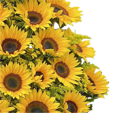 Cargar imagen en el visor de la galería, Girasoles Brillantes Eficientes Bogotá | Regalo Alegre
