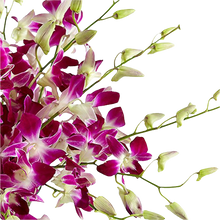 Cargar imagen en el visor de la galería, Arreglo Floral Majestad Púrpura 24H Bogotá | Flores Moradas Premium Entrega Inmediata