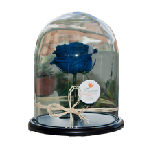 Cargar imagen en el visor de la galería, Rosa Preservada Infinito Amor 24H Bogotá | Flores Eternas Entrega Inmediata