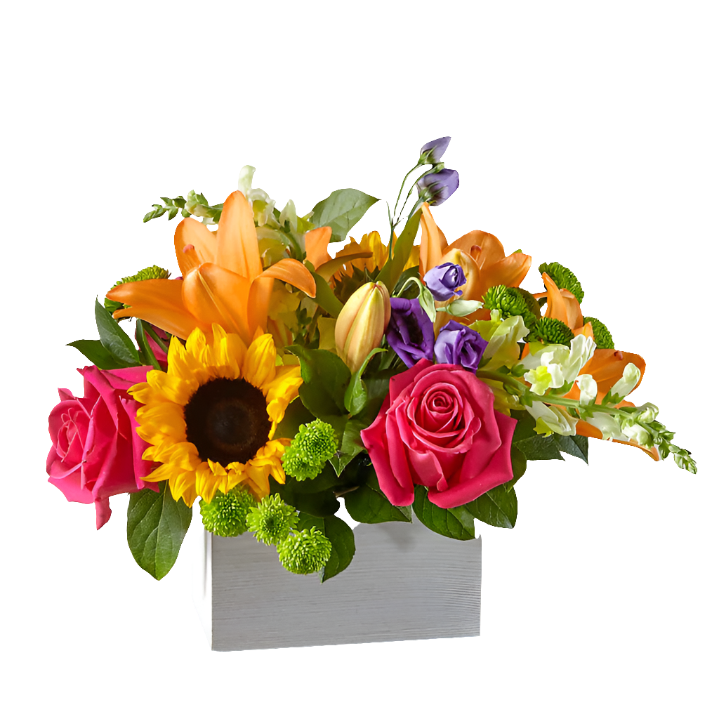 Audaz / Flores Frescas