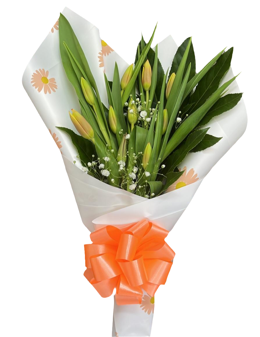 Paciente / Tulipanes Frescos