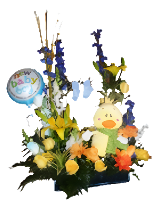 Flores Nacimiento Bebé Peluche Ternura 24H Bogotá | Baby Shower Entrega Inmediata