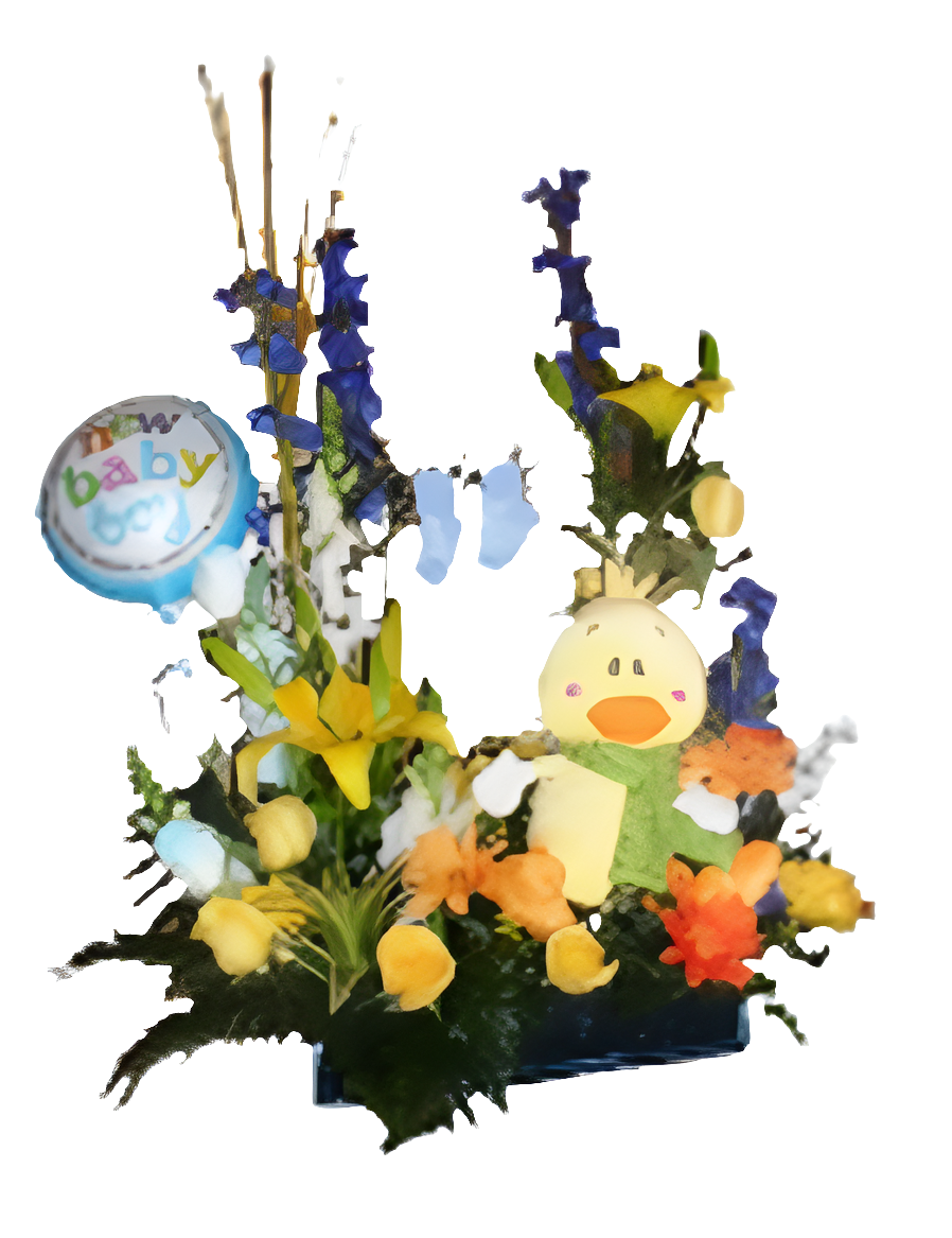 Flores Nacimiento Bebé Peluche Ternura 24H Bogotá | Baby Shower Entrega Inmediata