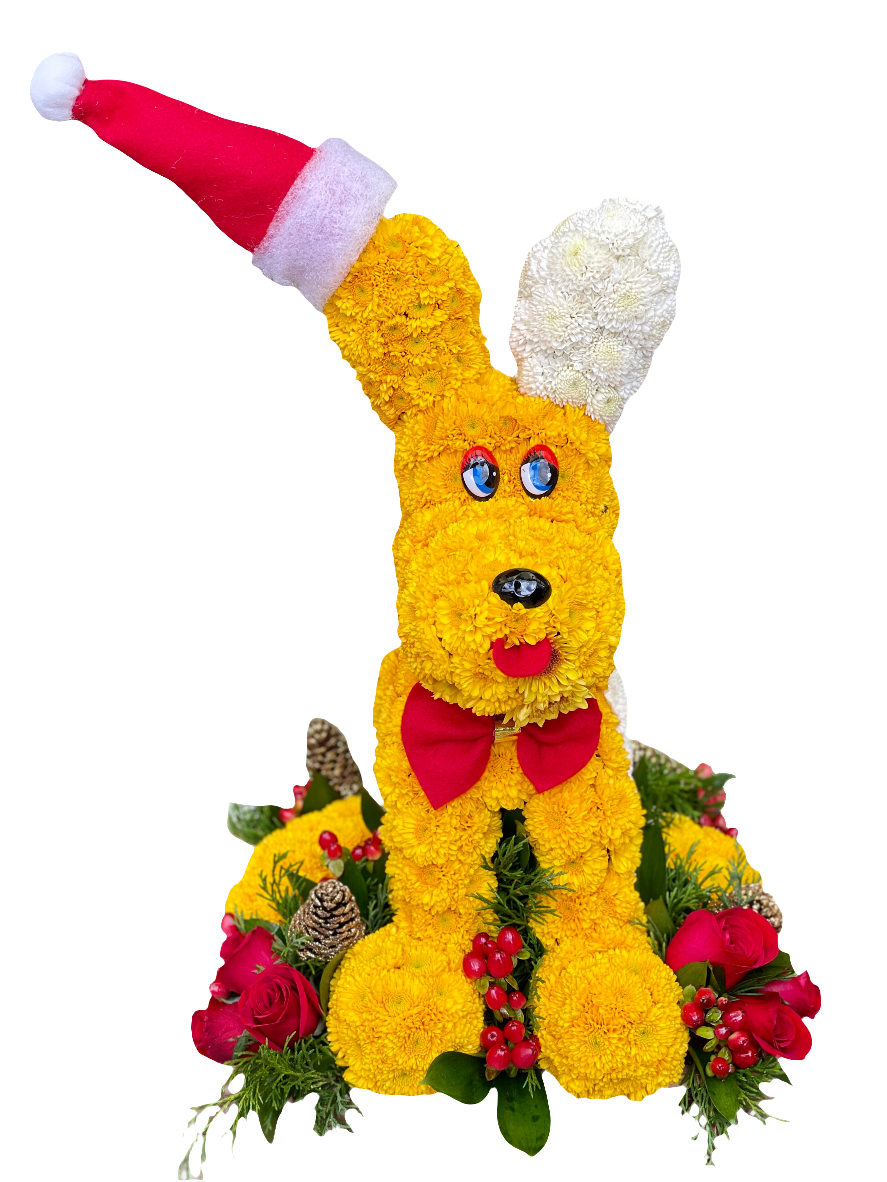 Inteligente / Amigo Fiel