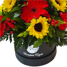Cargar imagen en el visor de la galería, Caja Esplendorosa Girasoles Negra Bogotá | Para Ella