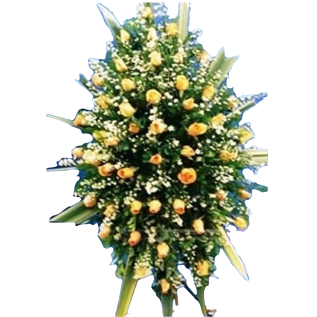 Arreglo Mi Amiga Especial